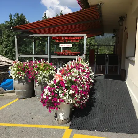 Hotell Haus Muehlebach Ernen