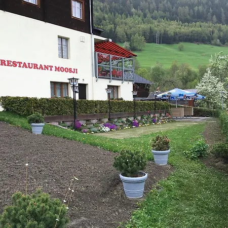 Haus Muehlebach